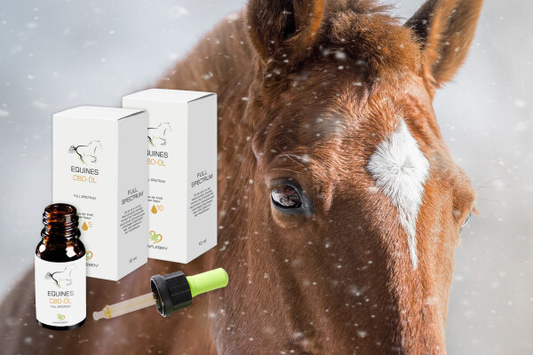 CBD Tropfen bei Pferden? - CBD Tropfen bei Pferden?